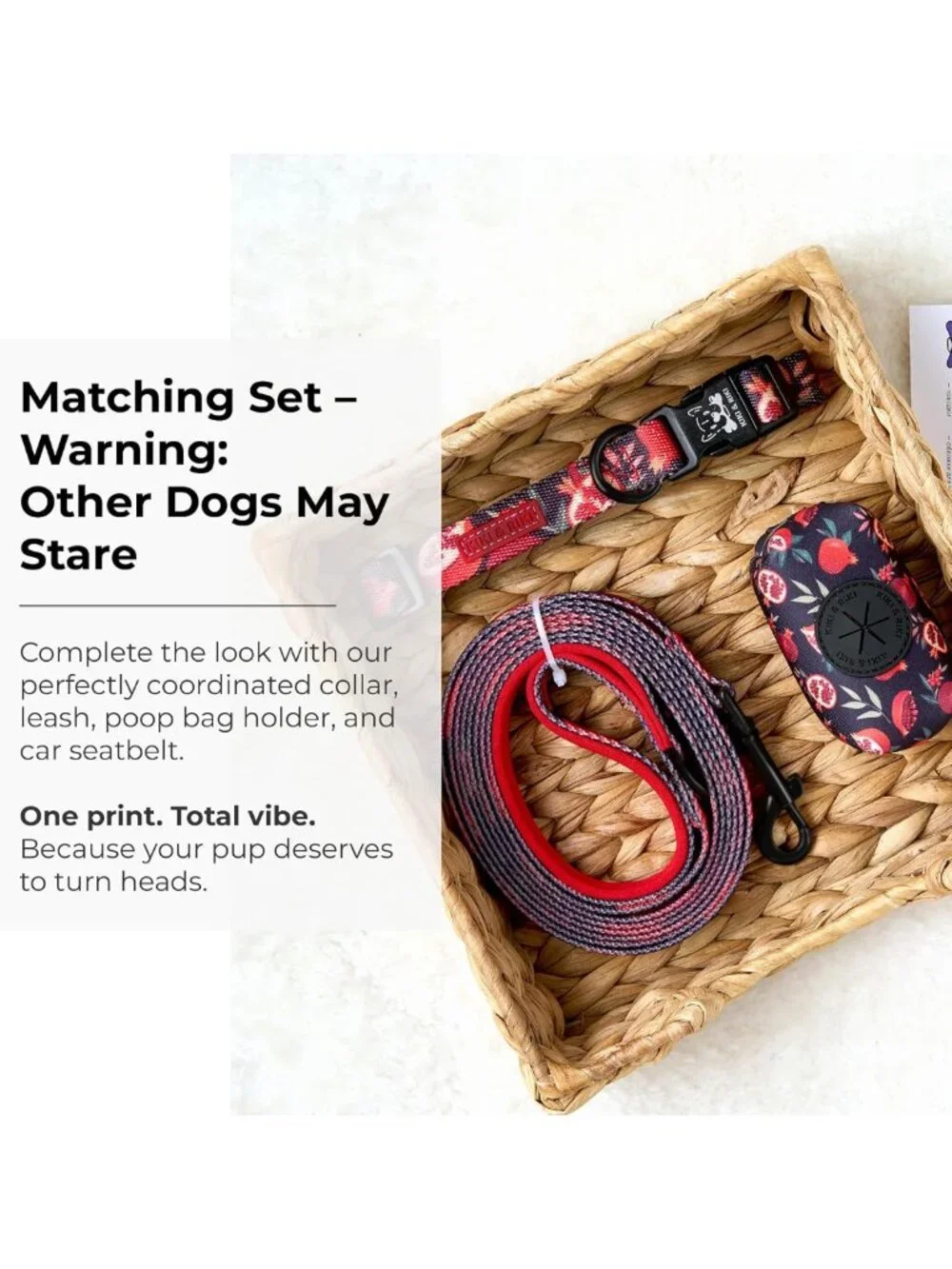 Adjustable Soft Nylon Dog Collar for Small Dogs, Quick-Release, Artist Print
